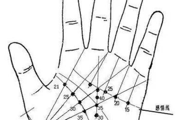手相大师揭秘:无运势线如何影响你的运势走向? 手相大师揭秘:无运势线如何影响你的运势走向?