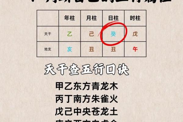 十二地支强弱对五行的调节作用