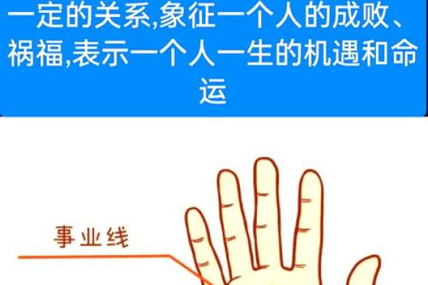 一图看命运：八字命理图教你掌控人生轨迹