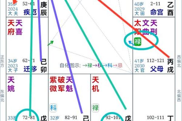紫微斗数大揭秘：看透你的运势起伏，抢占先机！
