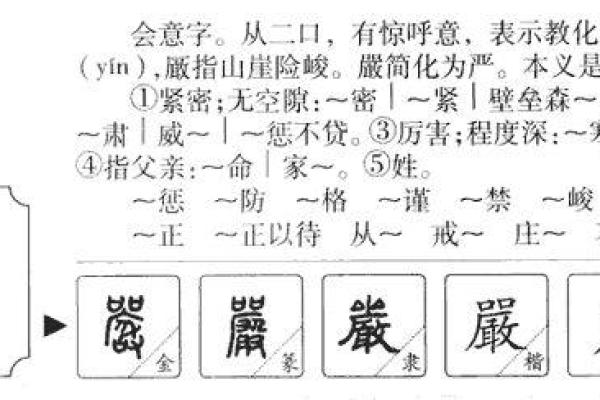 屈家新生，探寻寓意美好的名字之道