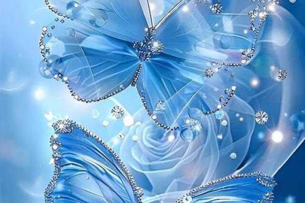 独具匠心：水瓶座节日民俗文化大赏