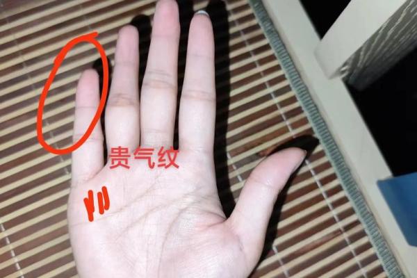 手相解码:小指根低,运势逆天! 手相解码:小指根低,运势逆天!