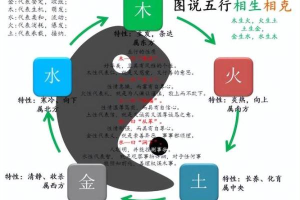 探索八字地支子卯卯酉的相生相克