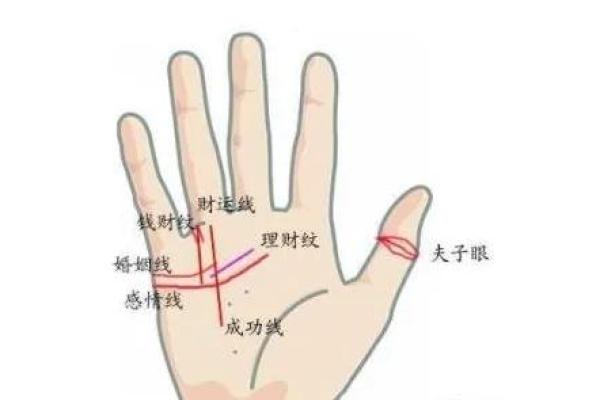 手相揭秘，运势密码一触即发！