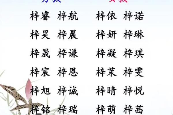 郑州宝宝起名，创意无限的名字库