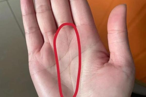 福禄双全手相,揭秘财运亨通的奥秘 福禄双全手相,揭秘财运亨通的奥秘