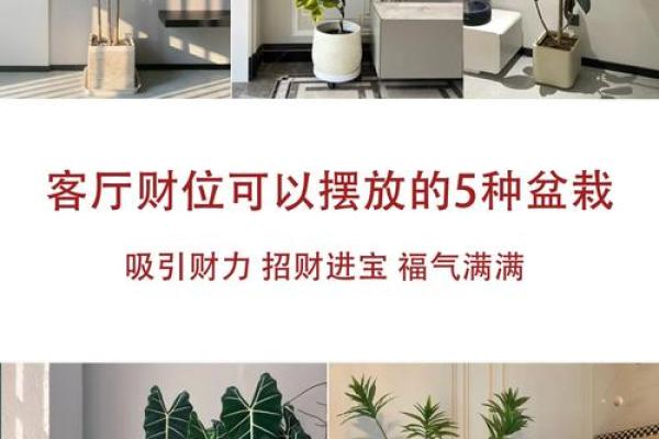 商铺风水与住宅风水：哪个更能助你财运亨通？