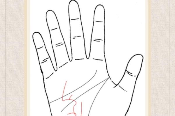 探秘命运之手:手相解析人生轨迹 探秘命运之手:手相解析人生轨迹