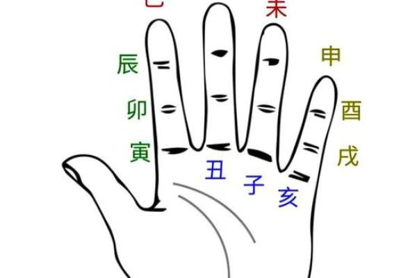 探索地支类象背后的深层寓意