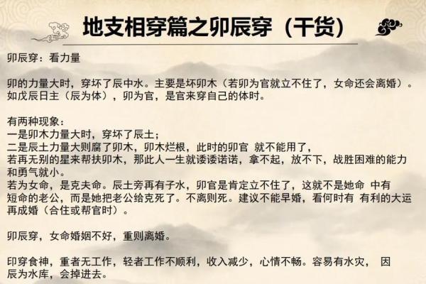探索地支类象背后的深层寓意