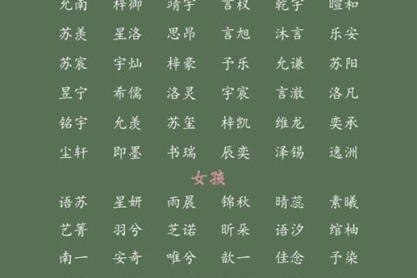 传承正派，寓意深厚的男宝宝名字