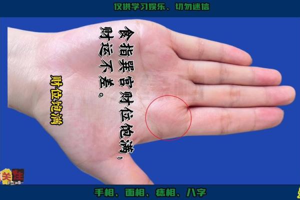 手相里的孝顺密码,一看便知孝子之心 手相里的孝顺密码,一看便知孝子之心