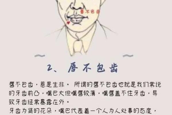 龅牙鼓腮面相之谜：揭秘面相中的独特魅力