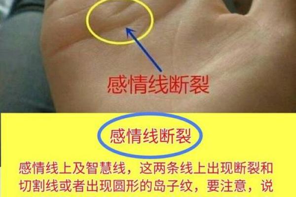 左手断相，命运转折点揭秘！