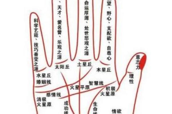 天生富贵命，揭秘EXO成员的运势密码