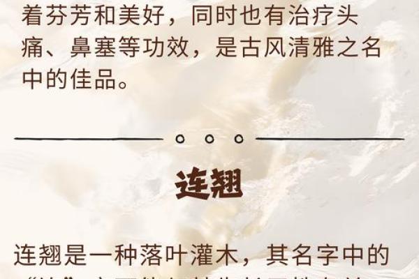 瑾瑜这个名字的寓意与评分解析