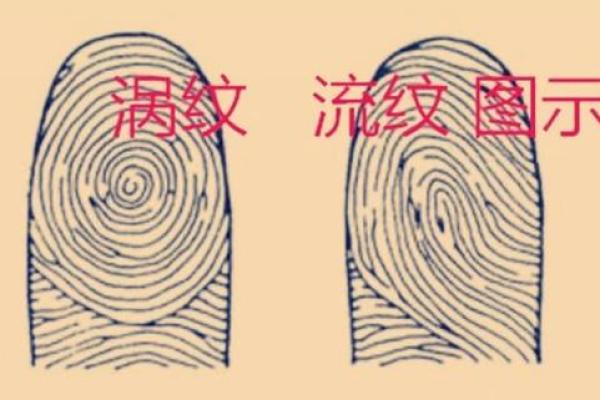 手相螺纹解读：你的运势密码，揭秘！