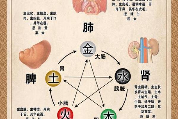 探秘朱砂五行与中医的关系