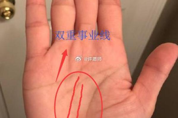 解锁事业线密码：揭秘手相中的事业线奥秘