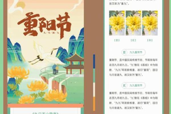 传统节日背后的故事与传承价值