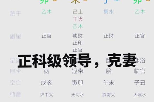 女命地支正官组合对命运的深远影响