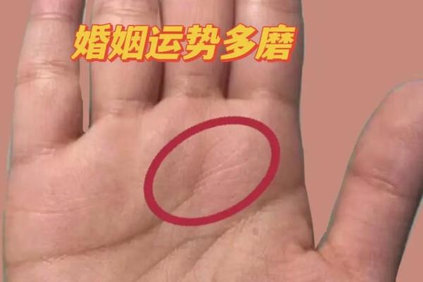 手相解码：揭秘婚姻线背后的幸福密码