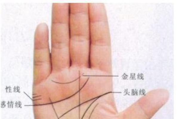 钱线奥秘大揭秘