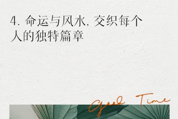 测算运势，让你把握人生每一个关键点