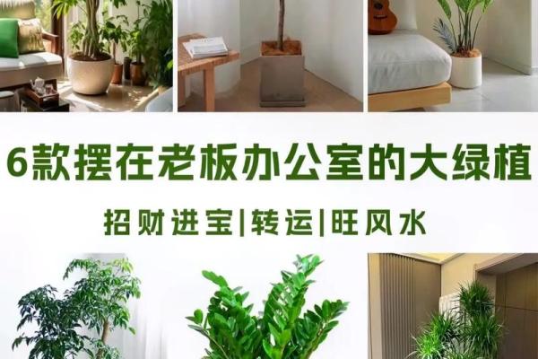 家中风水宝地！必看招财风水天花板布局秘籍