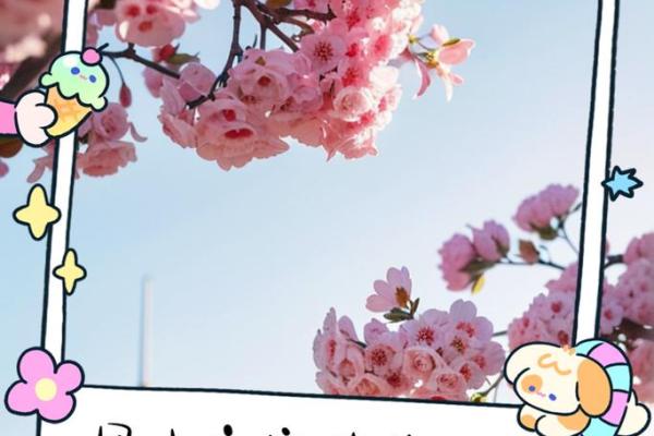 风水宝地卧室门，入住福运连连，必看秘诀
