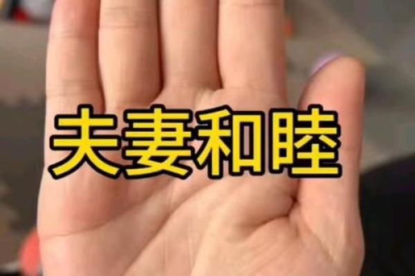 无巧不成书，双手手相一模一样，揭秘背后的惊人秘密！