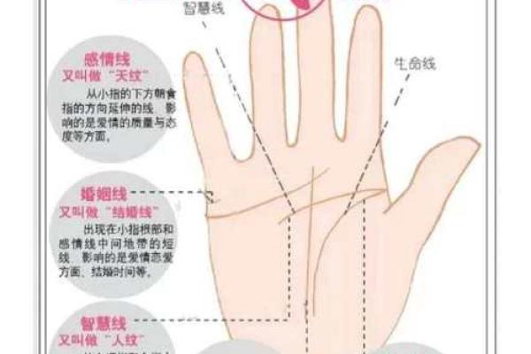 手中藏福，女子手相揭秘