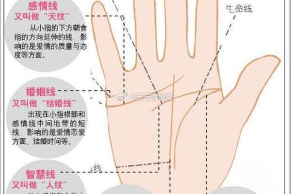 灵动掌纹，北京易经学院手相学入门指南