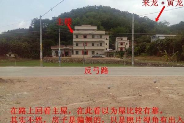 阳宅地势风水揭秘：高低起伏，财运亨通的秘密