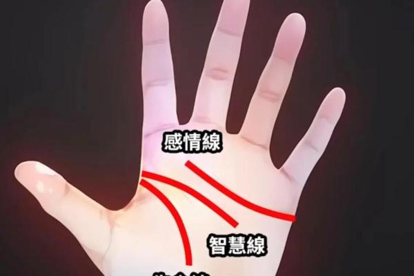 手相大揭秘：手心有痣的男人，命运注定不平凡！