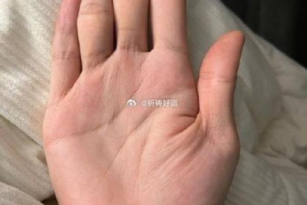 韩国手相术揭秘：指尖间的命运密码
