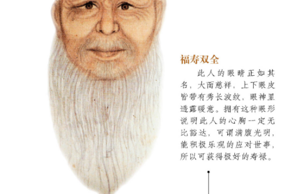 福寿双全：揭秘老年人享福面相的秘密