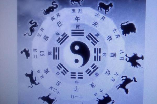 了解凡字的五行特点