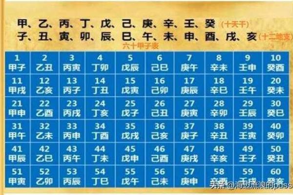 如何运用生辰八字反推解析过去与未来