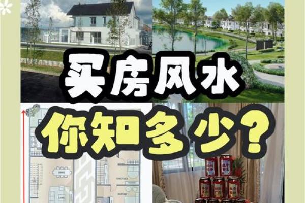 打造宜居之宅：揭秘不可或缺的住宅风水秘诀