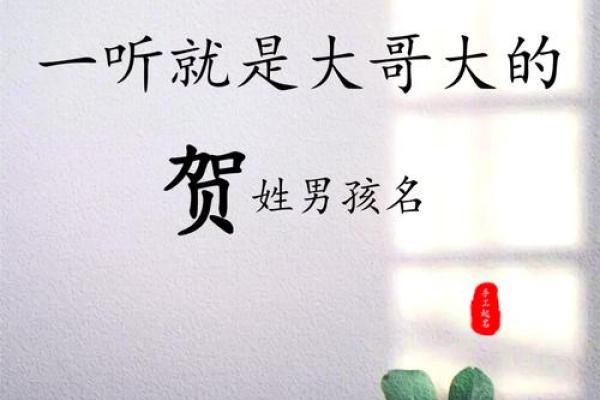 贺姓新生儿取名指南：创意满分寓意美好精选
