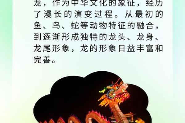 从风俗到民俗：传统文化在现代社会中的演变与意义