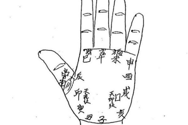 掌中乾坤,一掌定乾坤 掌中乾坤,一掌定乾坤