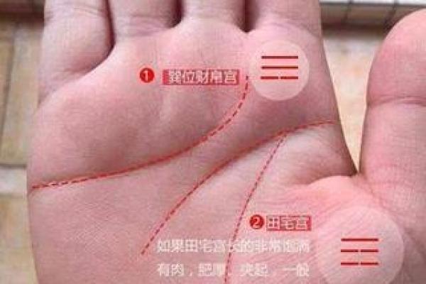 解锁手相秘密：运势揭秘，你的命运走向一触即发！