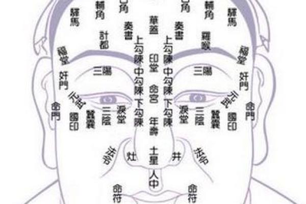 面相风水解析：吉凶神态一窥究竟