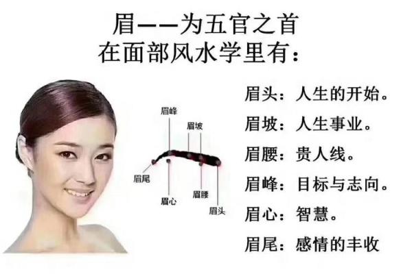 面相风水解析：吉凶神态一窥究竟
