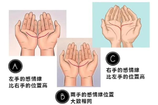 左手奇缘，手相揭秘