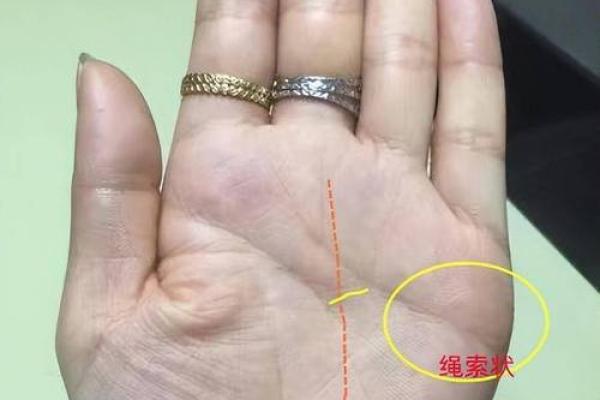 左手奇缘，手相揭秘