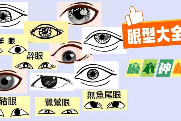 面相揭秘：入眼纹路暗藏的秘密